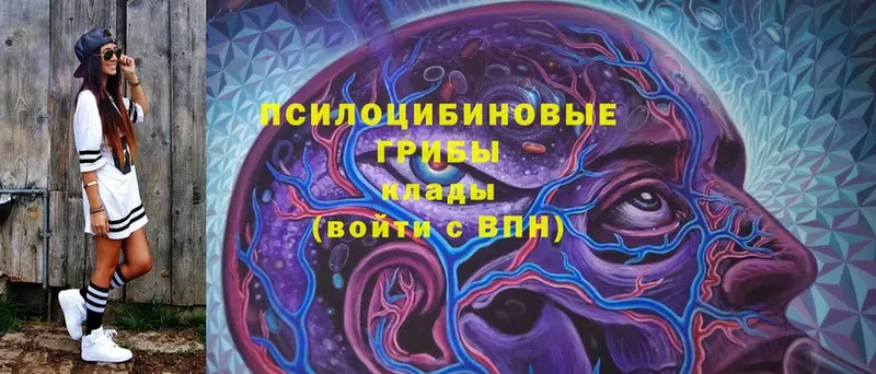 Галлюциногенные грибы Psilocybine cubensis  Каневская 